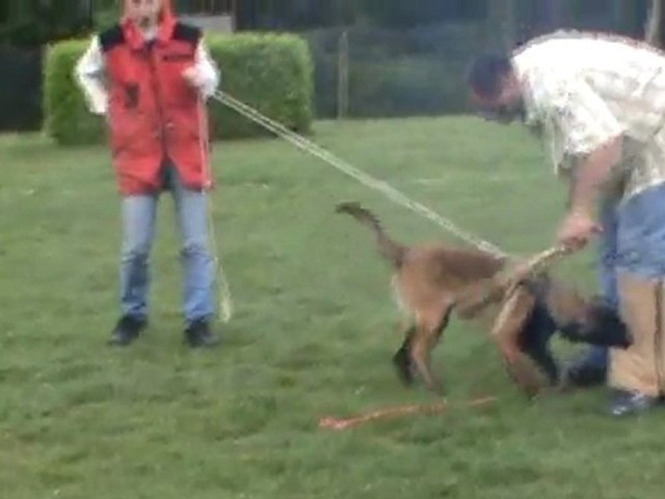 mordant fripouille 5 mois