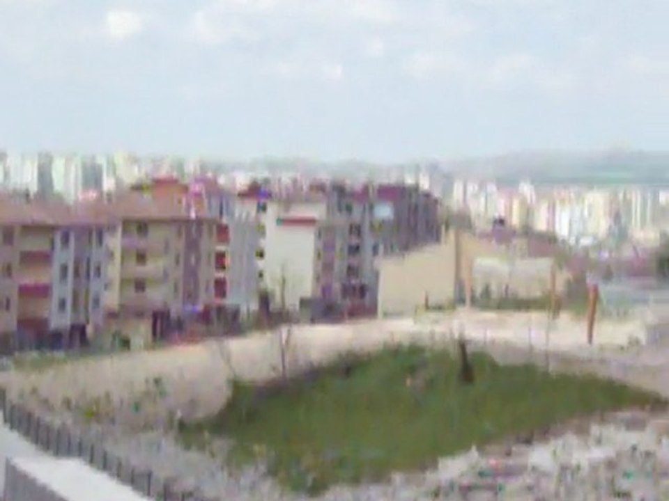 100_0775