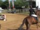 Equitation : Championnat de Vendée de Saut d'Obstacles 2011