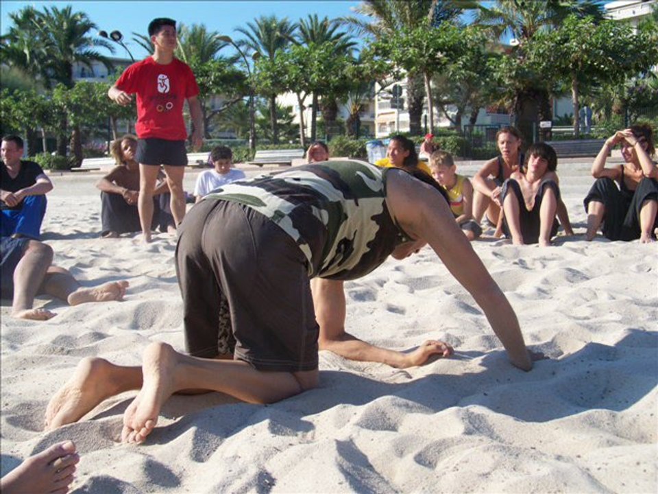 Stage arts martiaux scéniques  organisé par Hoang Nghi été 2010 4 ème partie