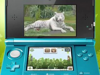 Animal Resort - Tigre Blanc