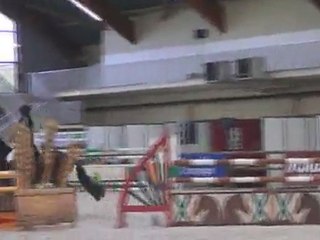 Armanis Parc des Expo fevrier 2011  cso 1.10m