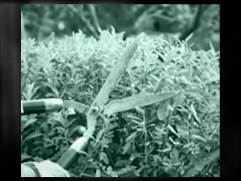 Compliance Services for Real Estate Properties