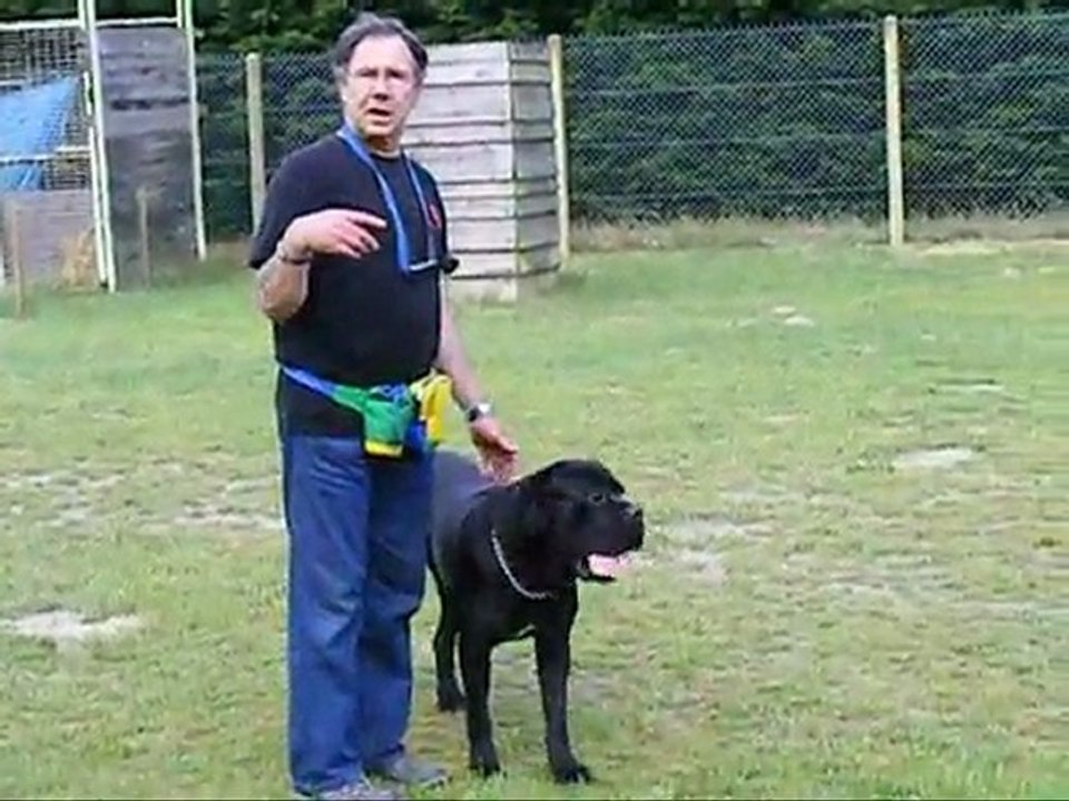 éole entrainement obéissance le 10 05 2011