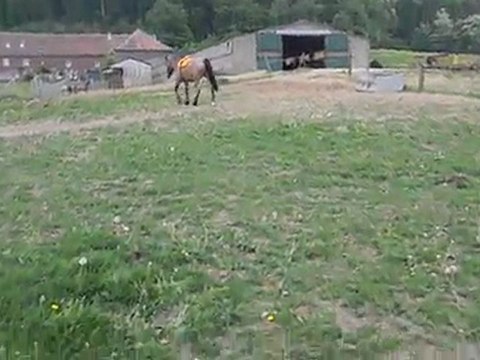 9 mai 2011 boulot a pied usoa