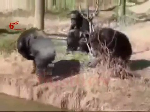 Kardeşine bile güvenmeyeceksin -D (by 6ustucN)