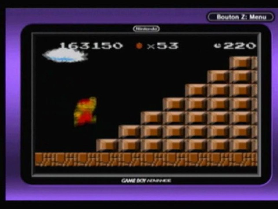 Survival super mario bros