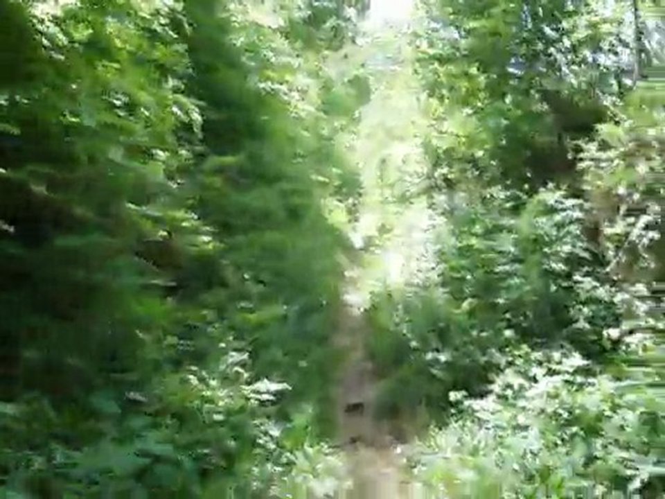 trail des forts de BESANCON 2011 45km