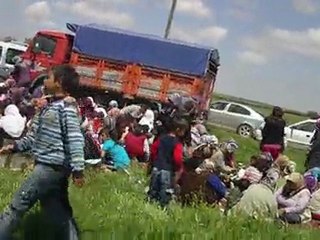 HIDIRİLLEZ ŞENLİKLER ARMUTLU