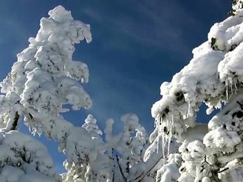 J・S Bach-Liebster Jesu,wir sind hier ・ Pray on the mountain- ASAMA