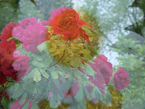 Ömrümüzün son demi Müzeyyen Senar