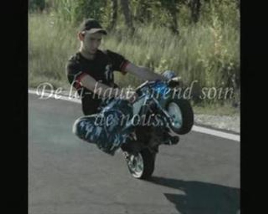 Hommage A Petar