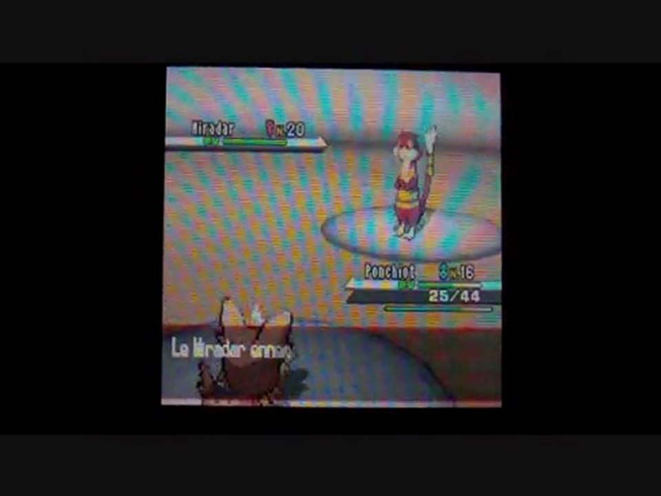 W.T Pokemon Blanc / 08 : La chance du debutant