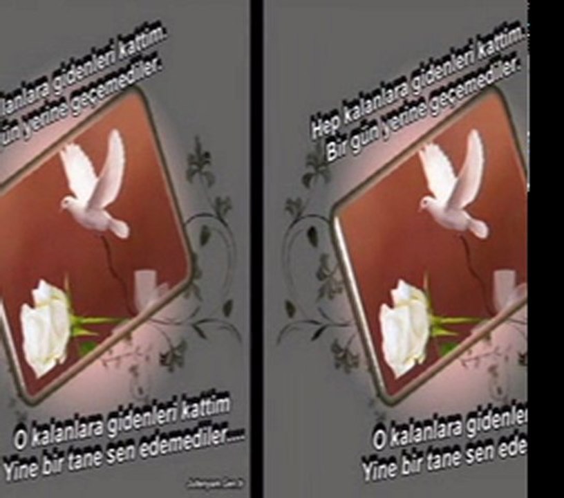 Sevgiliye Özlem siirli(kirmizi Gül)