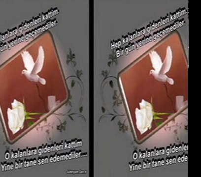 Sevgiliye Özlem siirli(kirmizi Gül)