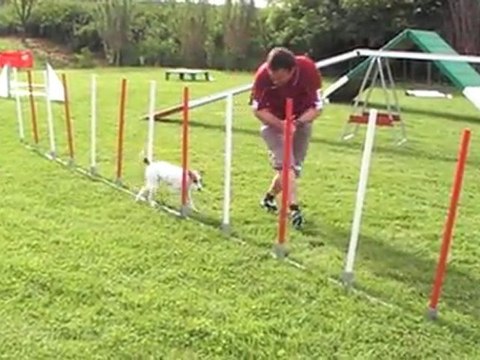 tequila open gpf 080511