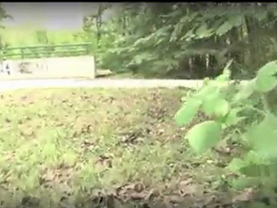 Le GrouGnouGnou se balade - GrouGnouGnou in ride walk #2