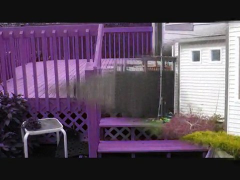 Paint, video, painting, in the local Tacoma, Seattle, WA area