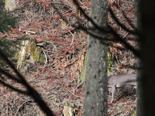 Commercial for a cell phone