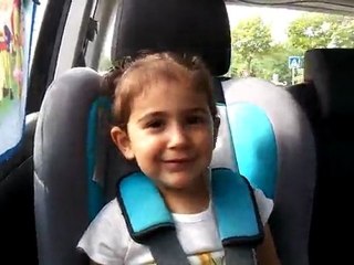 CHAT SAUVAGE OU CHAT ENROUE?