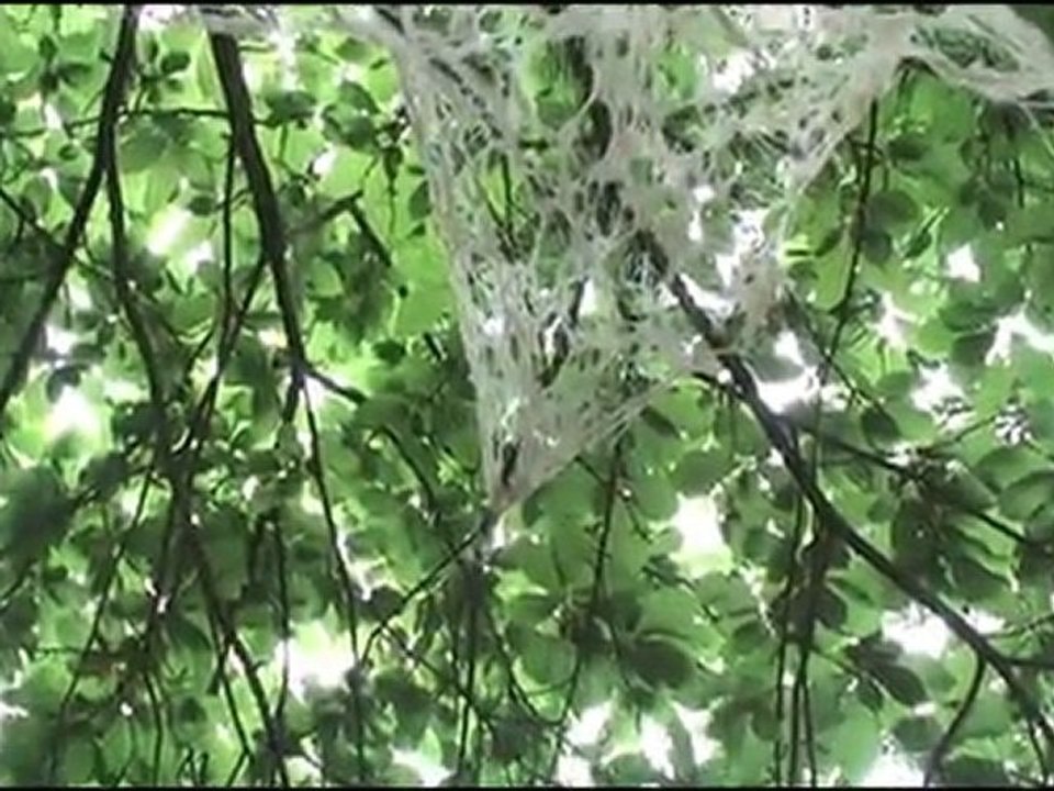 Landes'Art 2010
