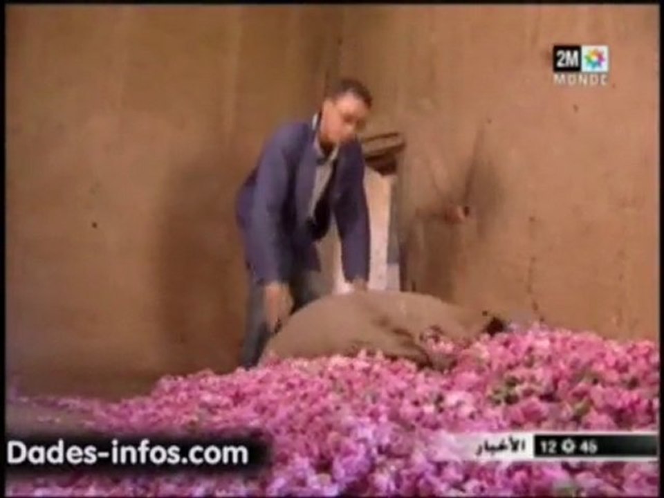 موسم الورود 2011