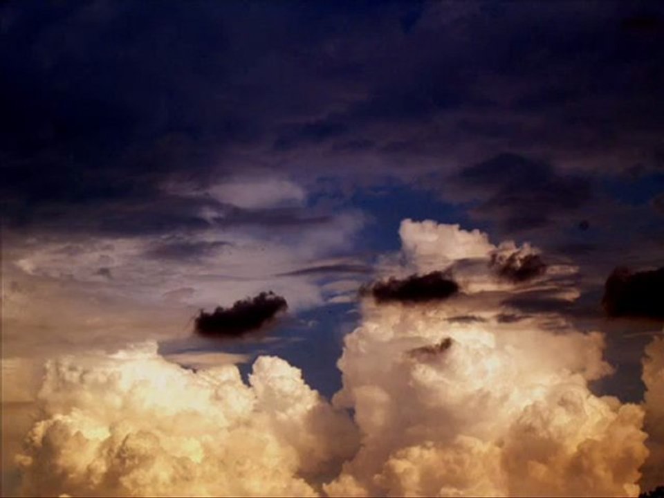 ezginin günlüğü   "yaralı kuş"