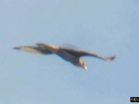 Astronaves de Luz, Aguilas y Nubes de Colores - 27 de Abril al 8 de Mayo 2011 - Asuncion, Paraguay.