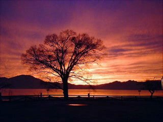 久保田利伸 「すごいぞ！テープ」 - Lately