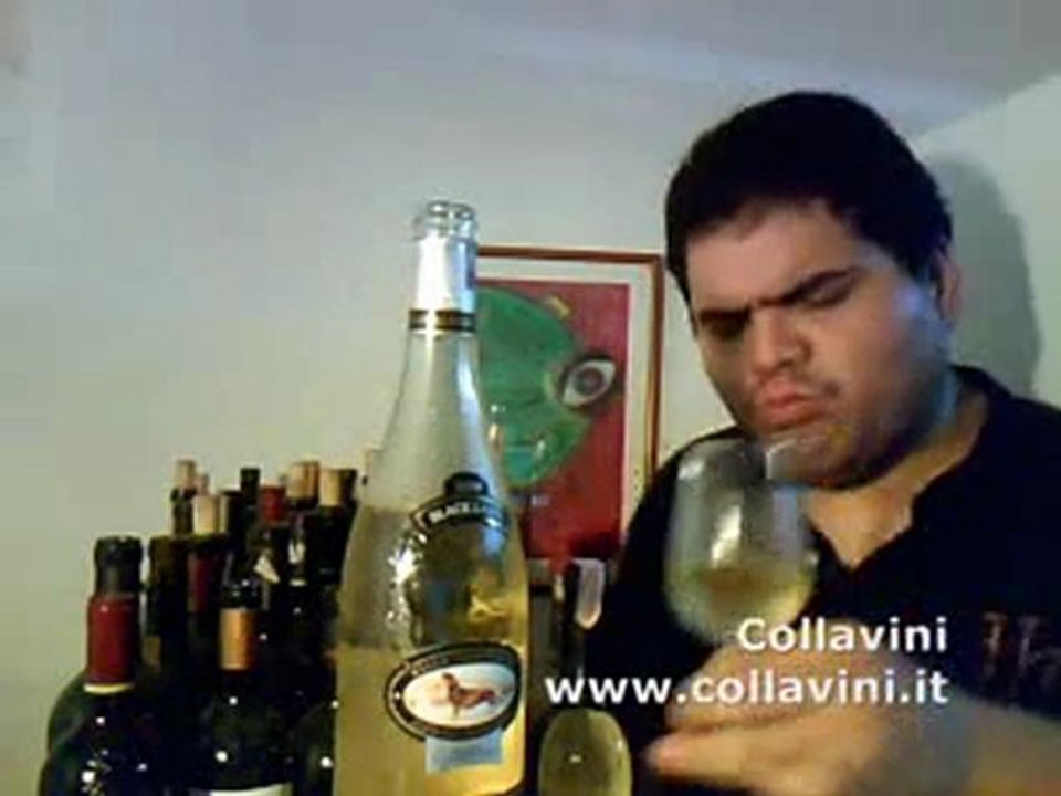 Collavini Pinot grigio Villa Canlungo Black label 2009