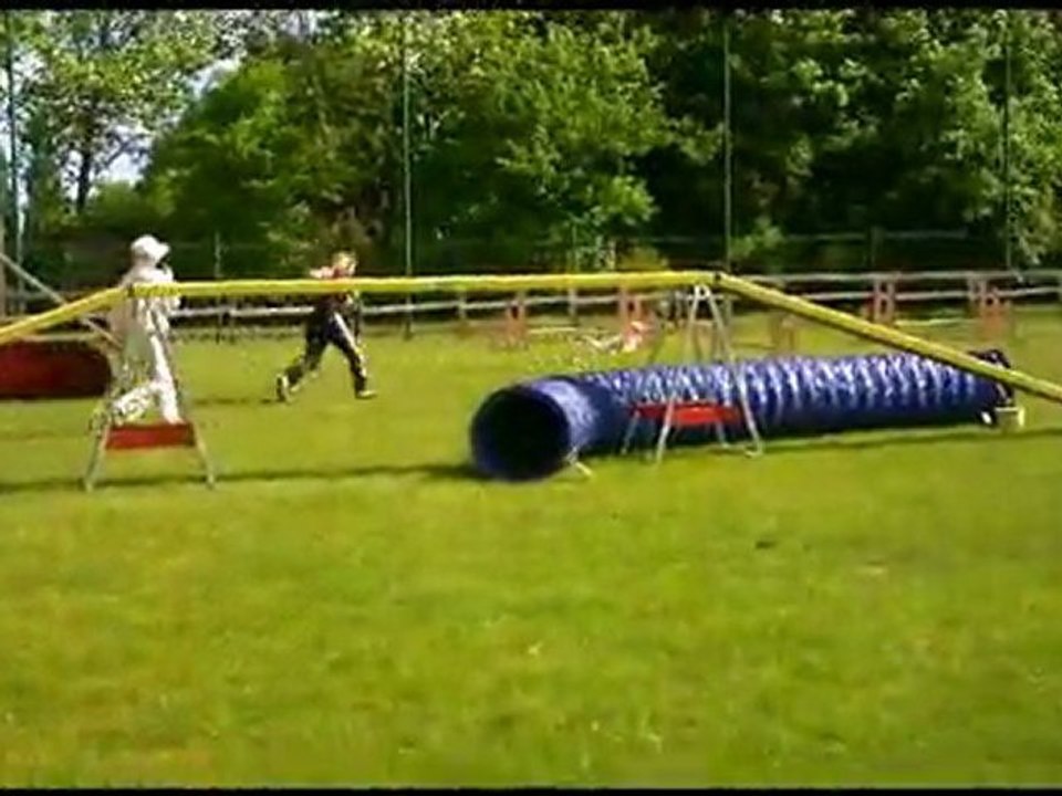 Agility St Brieuc  exposition Morgane et bistrakou 8 mai 2011