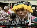 Campesinos peruanos rechazan ingreso  de transgénicos