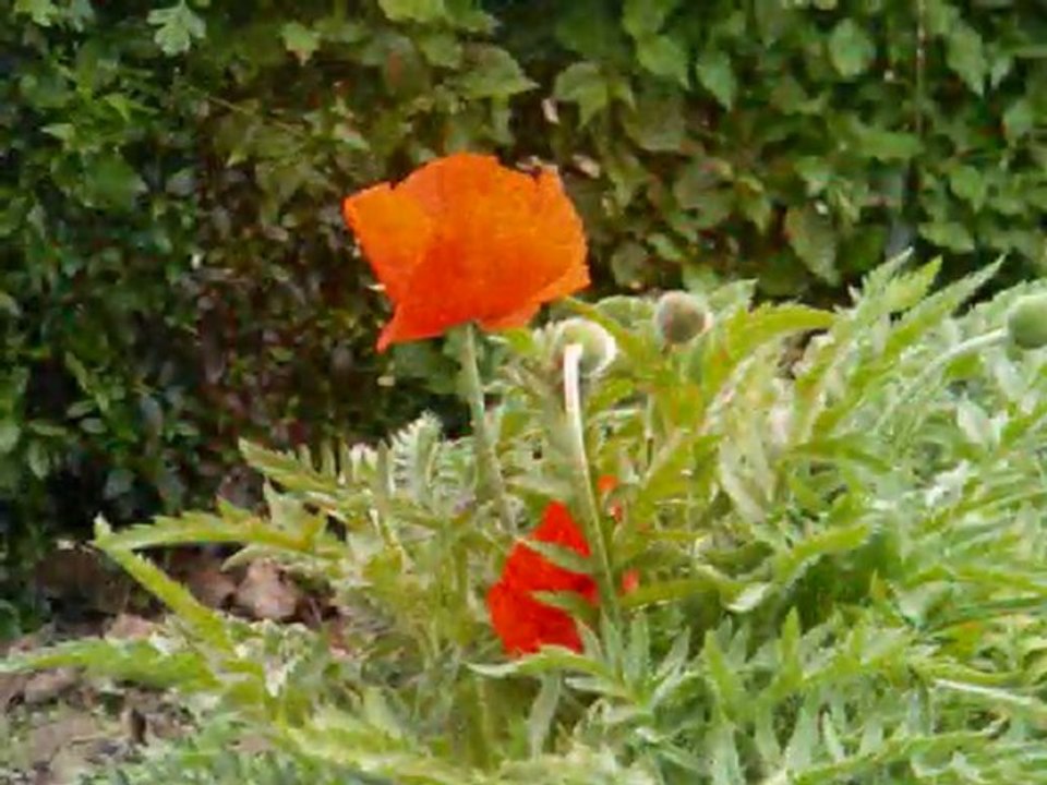 idée de sortie au parc culturel et jardins artisitiques