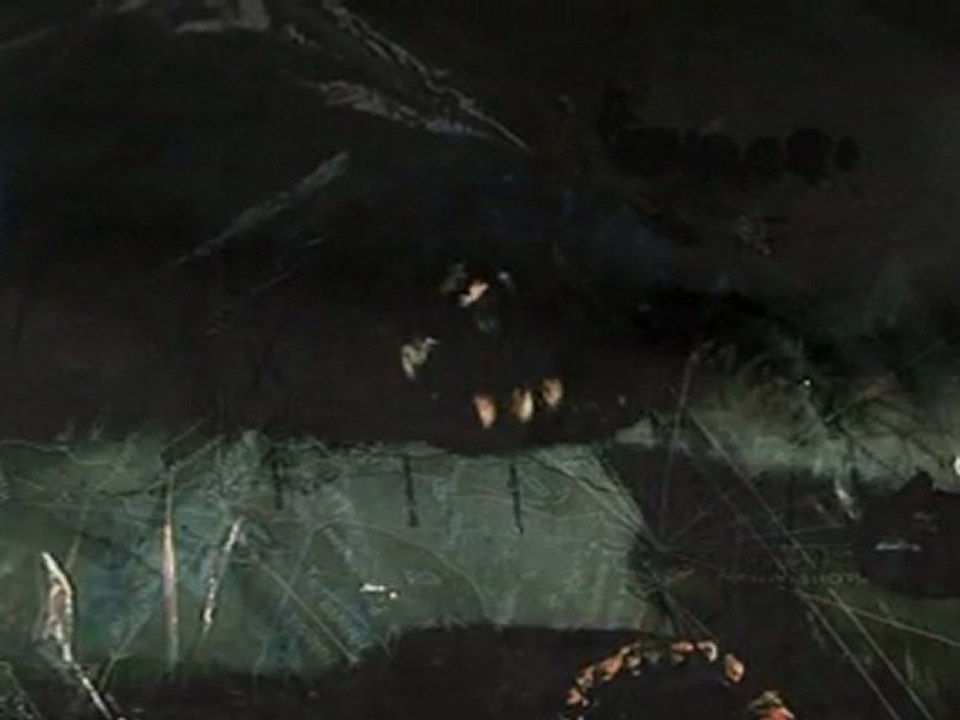 l'eau prend toujours la forme du vase"