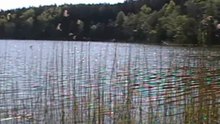 Wyszebórz koło Koszalina-jezioro Debro