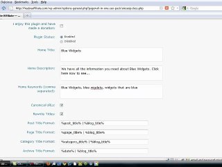 All In One SEO Plugin