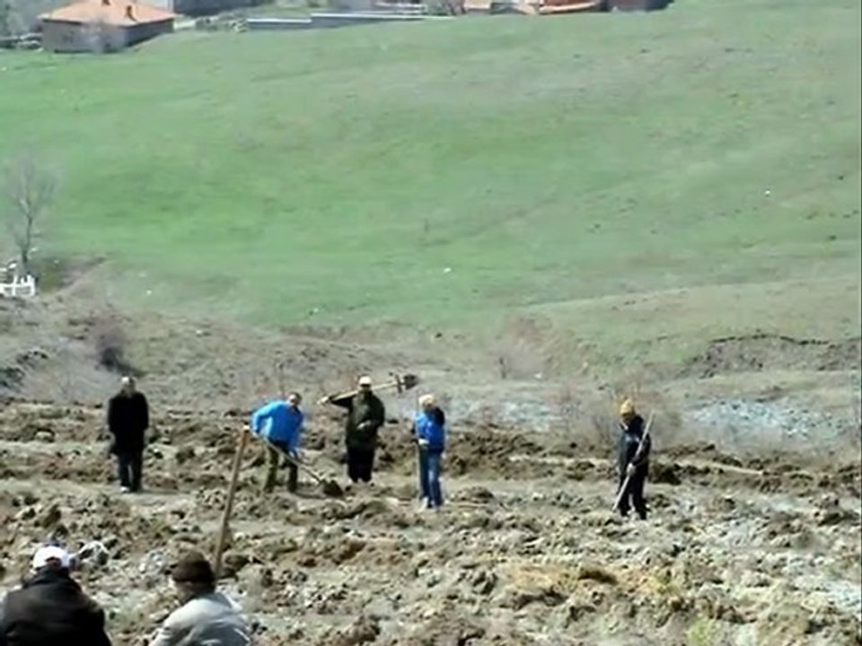 ÇORUM ALACA & KARGIN KÖYÜ & 2011 YILI ÇAM DİKEN...