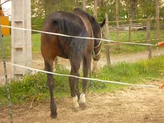 cacao et marie 1er mai 2011 002