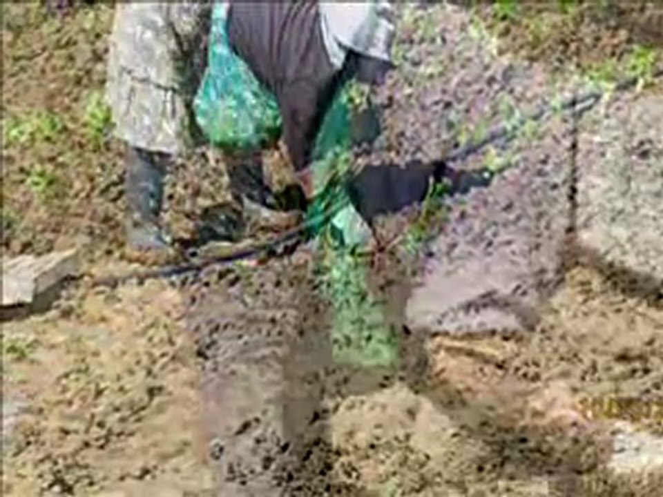 עבודה ערברית