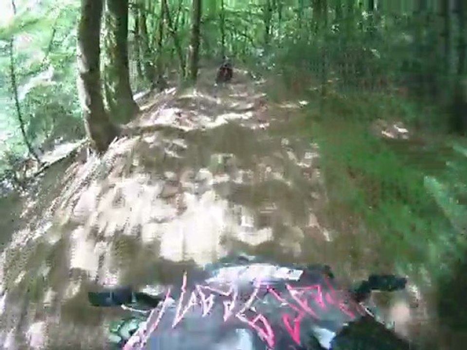 Morvan 2011