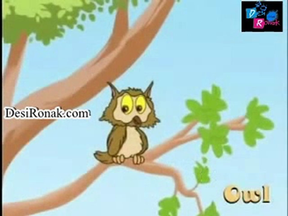 Learn - All About Birds