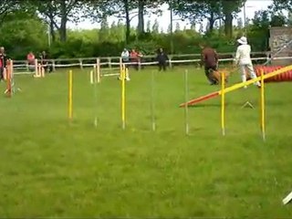 agility st brieuc exposition Damien et Djuna 8 mai 2011