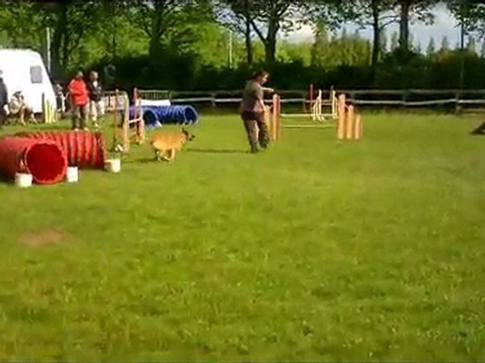 agility st brieuc exposition Vanessa et Dusty 8 mai  2011