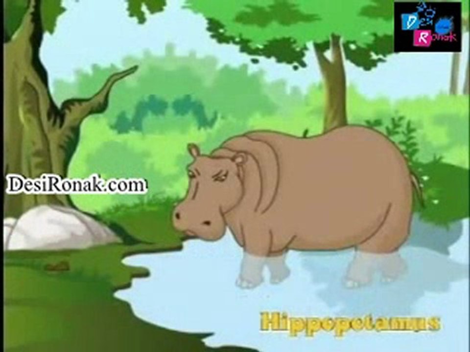 Learn - Different Animals