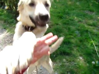 vidéo rare, tout se passe comme prévu ^^