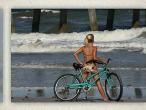 Pet Friendly Best Western Oceanfront Hotel Florida