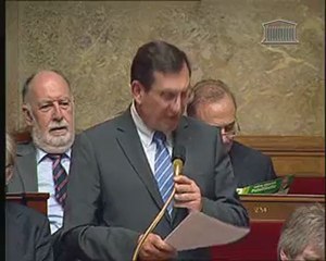 10/05/11 Conseillers territoriaux: orateur du groupe UMP