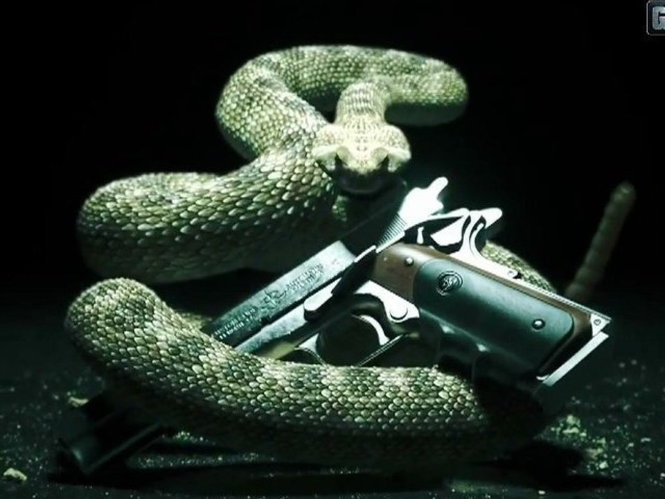 Hitman 5 Absolution : Teaser