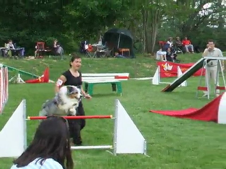 Awak Agility Sélectif GPF 2011