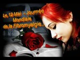 FIBROMYALGIE Le 12 Mai - Journée Mondiale de la Fibromyalgie